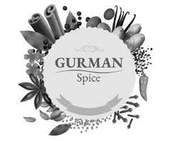 Заявка на торговельну марку № m201923932: gurman spice
