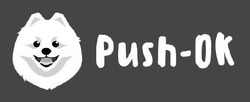 Свідоцтво торговельну марку № 332422 (заявка m202114007): push-ok; pushok; ок