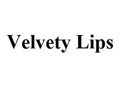 Свідоцтво торговельну марку № 327633 (заявка m202020523): velvety lips
