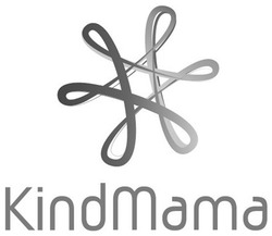 Свідоцтво торговельну марку № 305205 (заявка m201924789): kindmama; kind mama