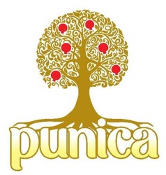 Заявка на торговельну марку № m202025077: punica