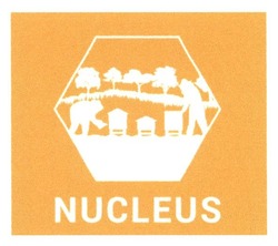 Свідоцтво торговельну марку № 249510 (заявка m201806261): nucleus