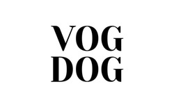 Заявка на торговельну марку № m202118454: vog dog