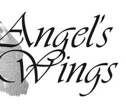 Заявка на торговельну марку № m202412621: angels; angel's wings