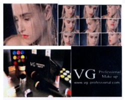 Заявка на торговельну марку № m201624765: make up; www.vg professional.com