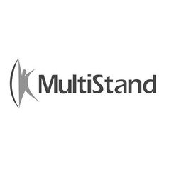 Свідоцтво торговельну марку № 162993 (заявка m201120557): multistand