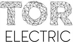 Свідоцтво торговельну марку № 317166 (заявка m202016459): tor electric