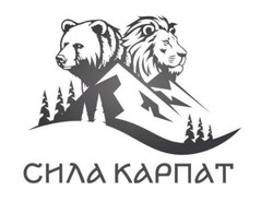 Заявка на торговельну марку № m202602259: сила карпат