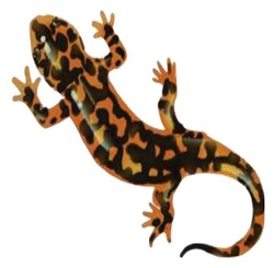 Заявка на торговельну марку № m202607643