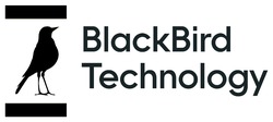Заявка на торговельну марку № m202407455: black bird; blackbird technology