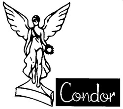 Свідоцтво торговельну марку № 37518 (заявка 2001128097): condor