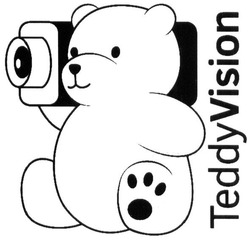 Заявка на торговельну марку № m201903115: teddyvision; teddy vision