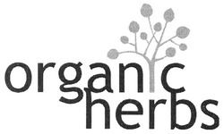 Свідоцтво торговельну марку № 138577 (заявка m201002250): organic herbs; с