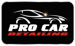Заявка на торговельну марку № m202322189: pro car detailing