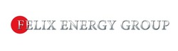 Свідоцтво торговельну марку № 185698 (заявка m201307287): felix energy group