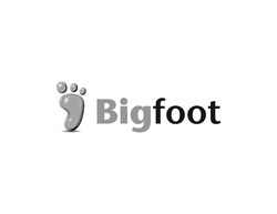 Свідоцтво торговельну марку № 223468 (заявка m201510406): bigfoot