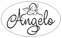 Заявка на торговельну марку № m202523805