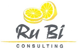 Заявка на торговельну марку № m200812976: rubi consulting; ru bi