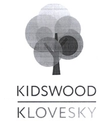 Заявка на торговельну марку № m202111713: kidswood klovesky