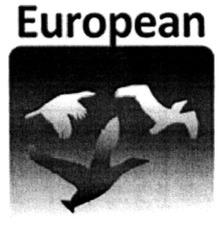 Свідоцтво торговельну марку № 312076 (заявка m201916098): european