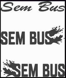 Заявка на торговельну марку № m202310853: sem bus