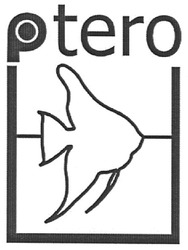 Свідоцтво торговельну марку № 129029 (заявка m200908725): ptero
