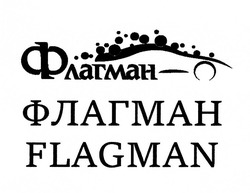 Свідоцтво торговельну марку № 314038 (заявка m202003557): flagman; флагман