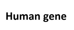 Заявка на торговельну марку № m202518606: human gene