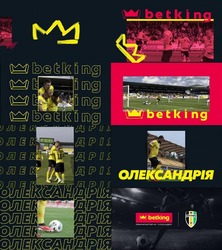 Заявка на торговельну марку № m202512971: преміум партнер фк олександрія; betking