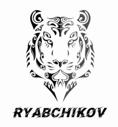 Свідоцтво торговельну марку № 347336 (заявка m202208553): ryabchikov