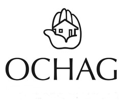 Заявка на торговельну марку № m202505559: ochag