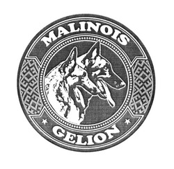 Свідоцтво торговельну марку № 248503 (заявка m201702252): malinois gelion