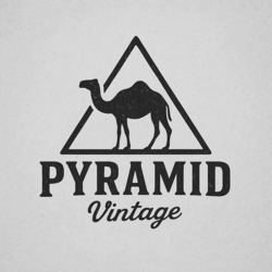 Заявка на торговельну марку № m202520332: pyramid vintage