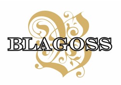 Свідоцтво торговельну марку № 316325 (заявка m202005899): blagoss; в