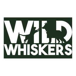 Заявка на торговельну марку № m202320978: wild whiskers