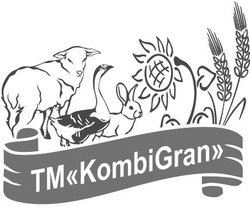 Свідоцтво торговельну марку № 332854 (заявка m202013512): kombi gran; tm "kombigran"; тм