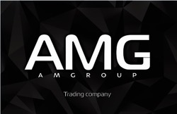 Свідоцтво торговельну марку № 304730 (заявка m201902183): amgroup; trading company