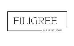 Заявка на торговельну марку № m202521293: hair studio; filigree