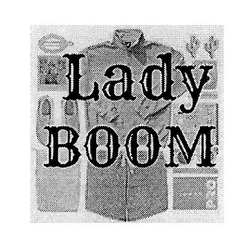 Заявка на торговельну марку № m201926128: lady boom; pro