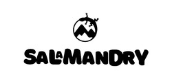 Свідоцтво торговельну марку № 292238 (заявка m201907221): salamandry; sala man dry