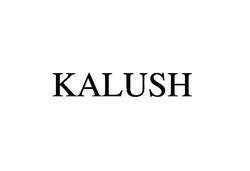 Свідоцтво торговельну марку № 309719 (заявка m201929177): kalush