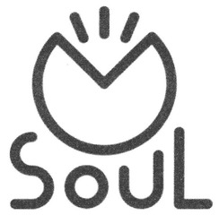Свідоцтво торговельну марку № 302948 (заявка m201919172): soul
