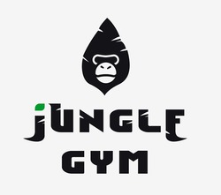 Свідоцтво торговельну марку № 321913 (заявка m202009393): jungle gym