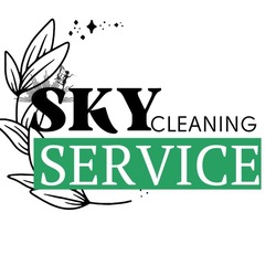 Заявка на торговельну марку № m202302985: sky cleaning service