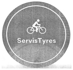 Заявка на торговельну марку № m202006118: servis tyres