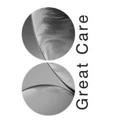 Заявка на торговельну марку № m202601012: great care