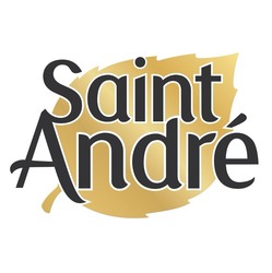 Свідоцтво торговельну марку № 323948 (заявка m202100285): saint andre