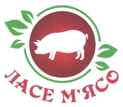 Свідоцтво торговельну марку № 231031 (заявка m201628300): ласе м'ясо; мясо