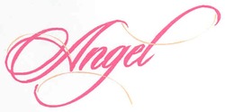 Заявка на торговельну марку № m200801535: angel