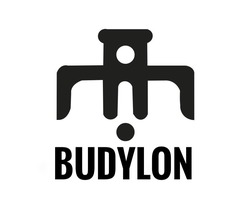 Заявка на торговельну марку № m202509275: budylon